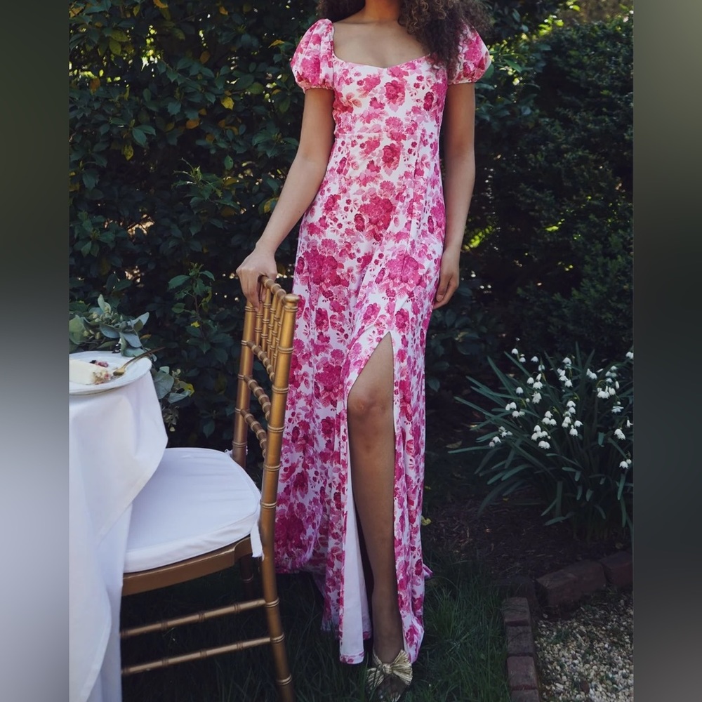 NWT Smith and Quinn Elizabeth dress